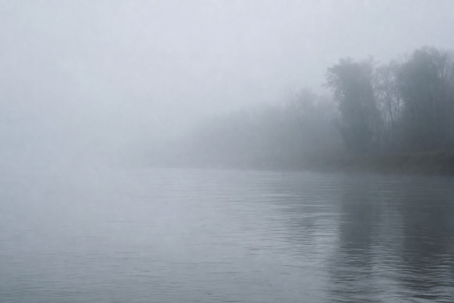 Silberner Flussnebel über einem deutschen Tal